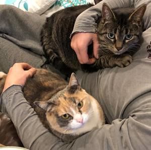 Meet your Posher, Alex